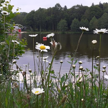 Gite La Lisiere, En Broceliande Néant-sur-Yvel Exteriér fotografie