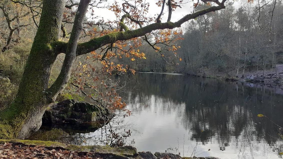 Gite La Lisiere, En Broceliande Néant-sur-Yvel Exteriér fotografie