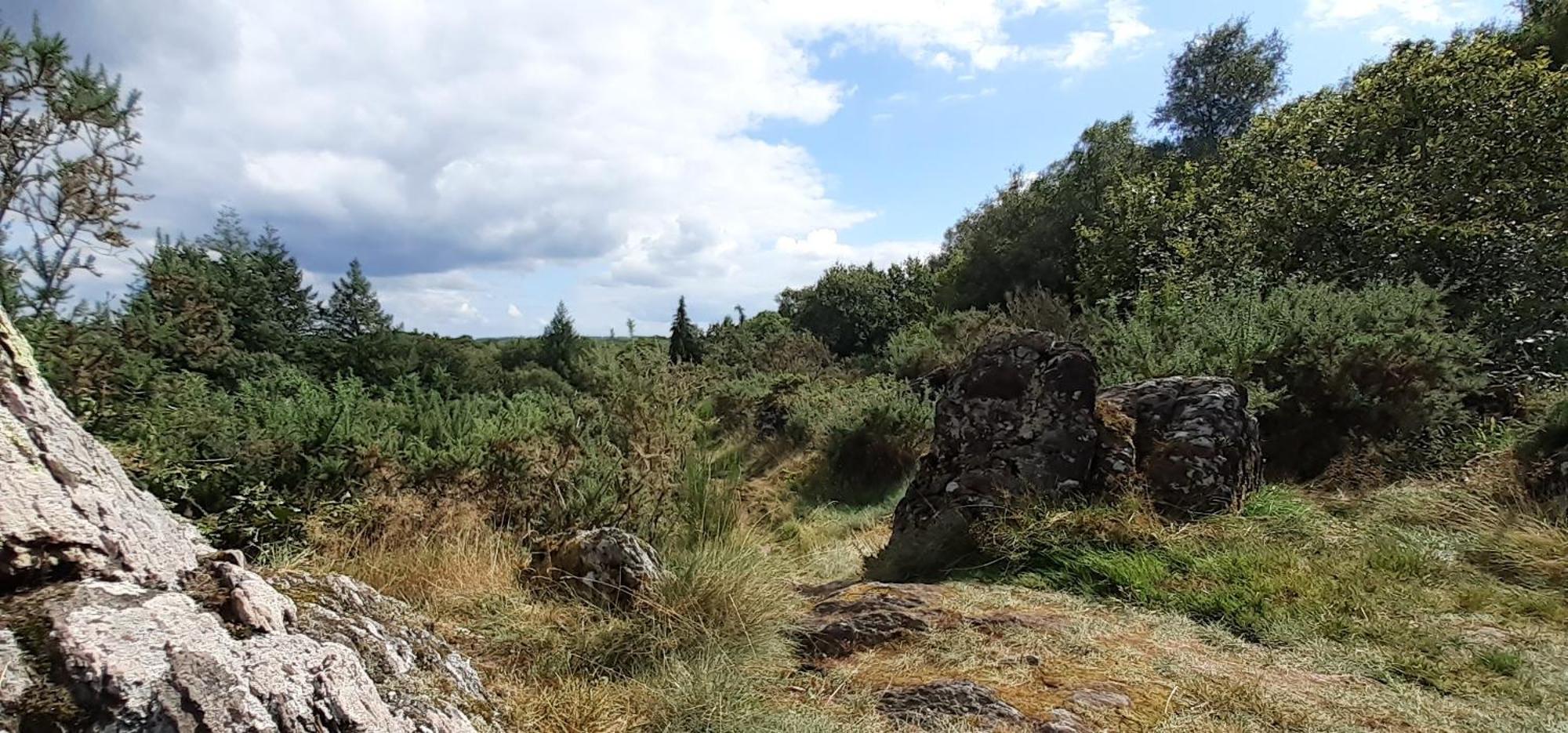 Gite La Lisiere, En Broceliande Néant-sur-Yvel Exteriér fotografie