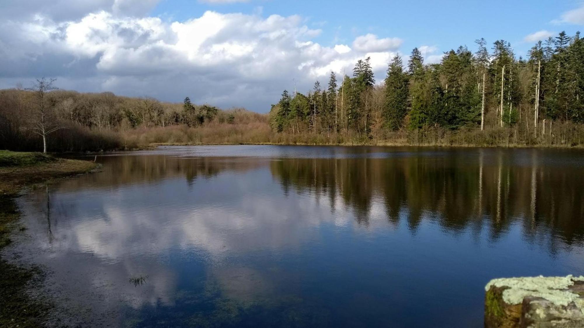 Gite La Lisiere, En Broceliande Néant-sur-Yvel Exteriér fotografie