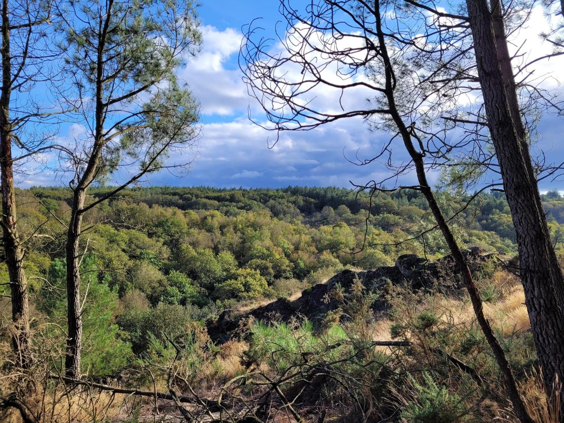 Gite La Lisiere, En Broceliande Néant-sur-Yvel Exteriér fotografie