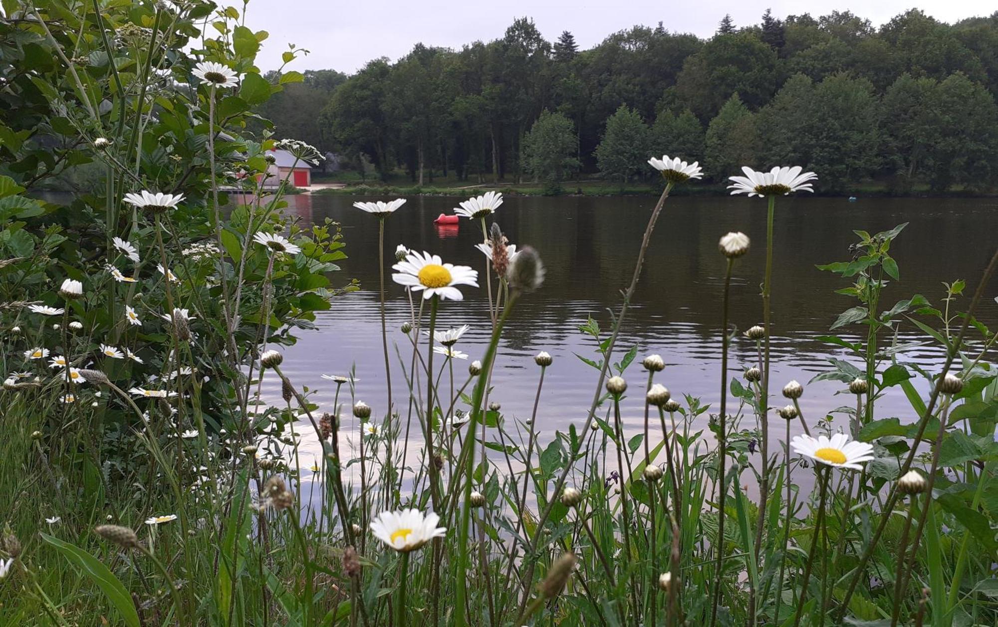 Gite La Lisiere, En Broceliande Néant-sur-Yvel Exteriér fotografie