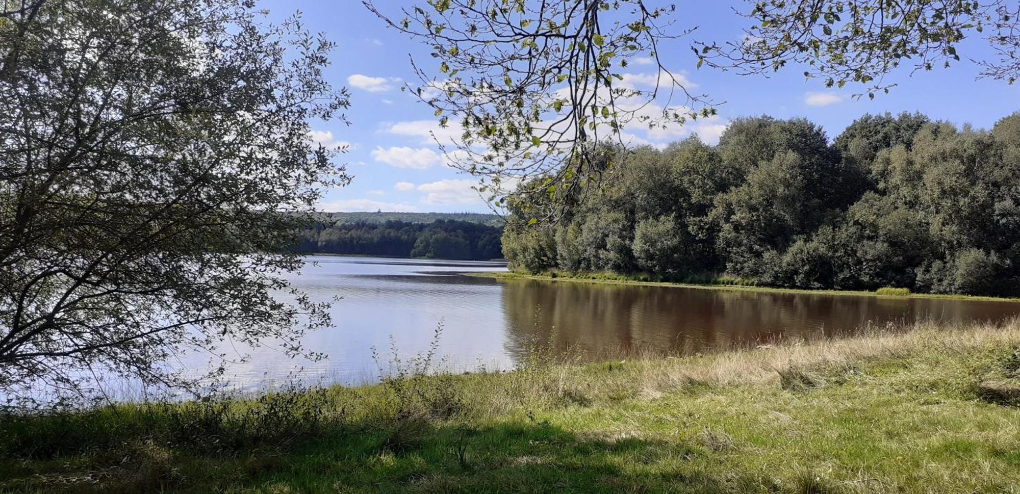Gite La Lisiere, En Broceliande Néant-sur-Yvel Exteriér fotografie