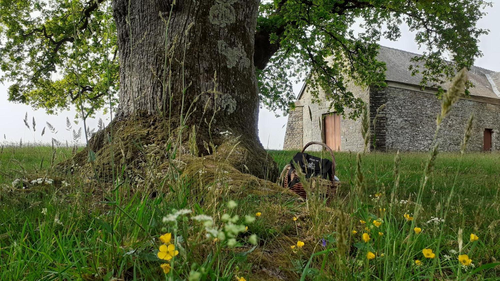 Gite La Lisiere, En Broceliande Néant-sur-Yvel Exteriér fotografie