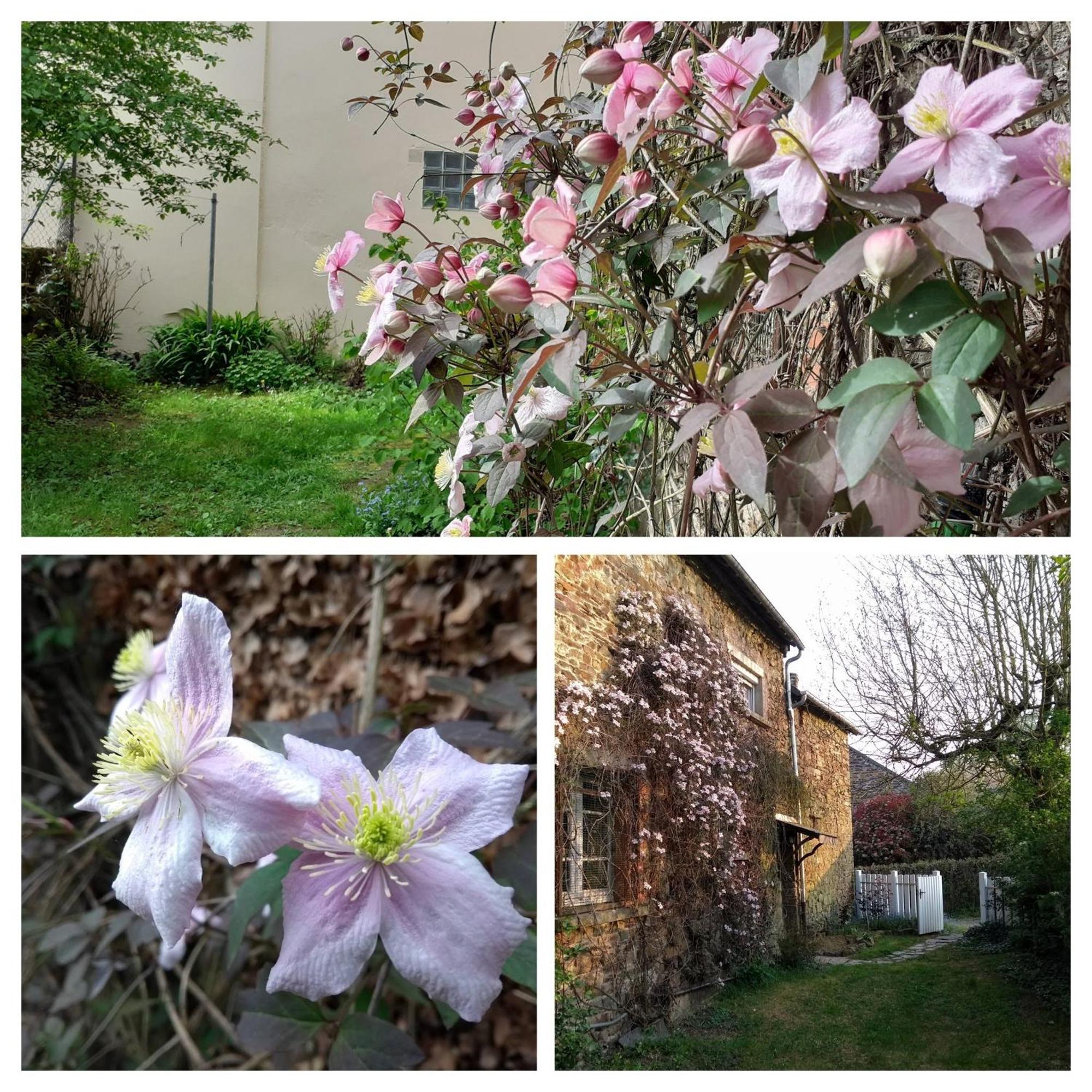 Gite La Lisiere, En Broceliande Néant-sur-Yvel Exteriér fotografie