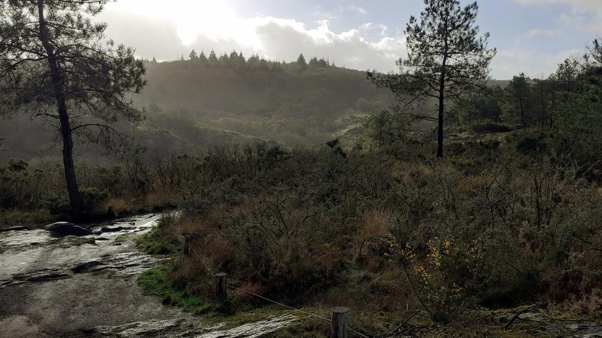 Gite La Lisiere, En Broceliande Néant-sur-Yvel Exteriér fotografie